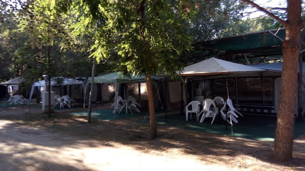 Camping Pitsoni Сикия Екстериор снимка